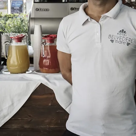 Belvedere Mare Hotel Rimini